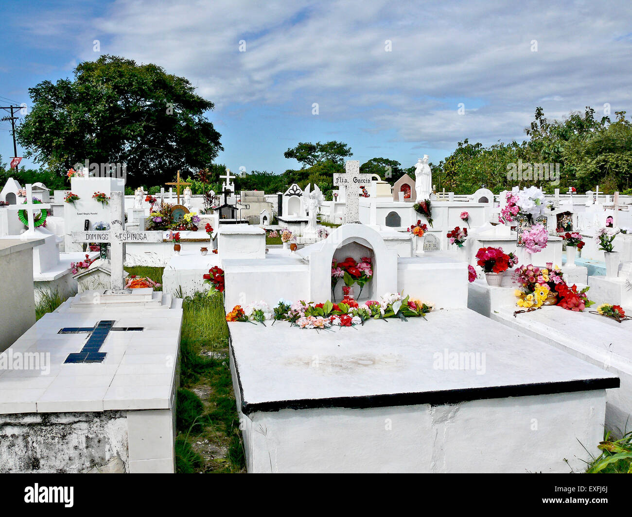 A Beautiful graveyard with white tombs and colourful flowers, in Playa ...