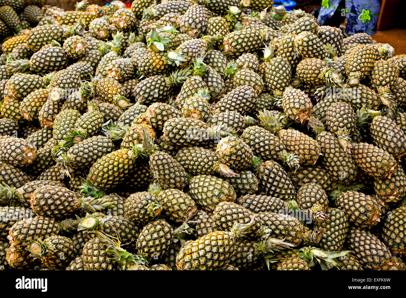 Pineapple plantation africa hires stock photography and images Alamy