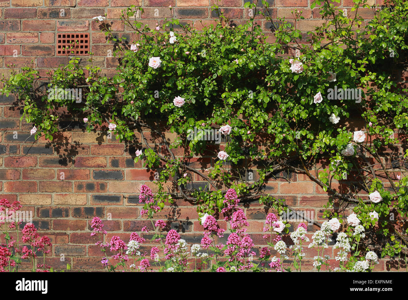 Light coloured brick wall hires stock photography and images Alamy