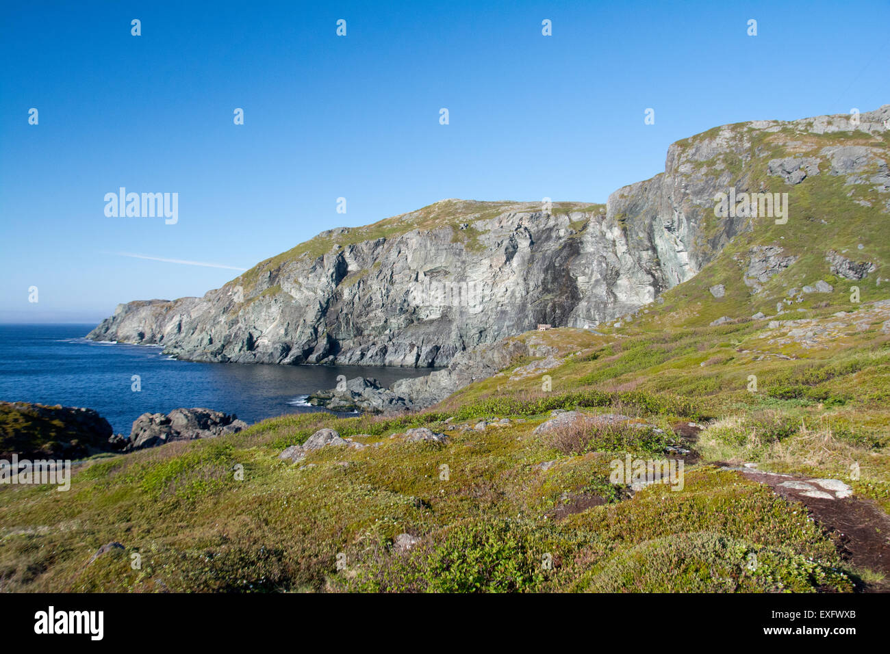 Sea cliffs near St. Anthony, Newfoundland. Stock Photo