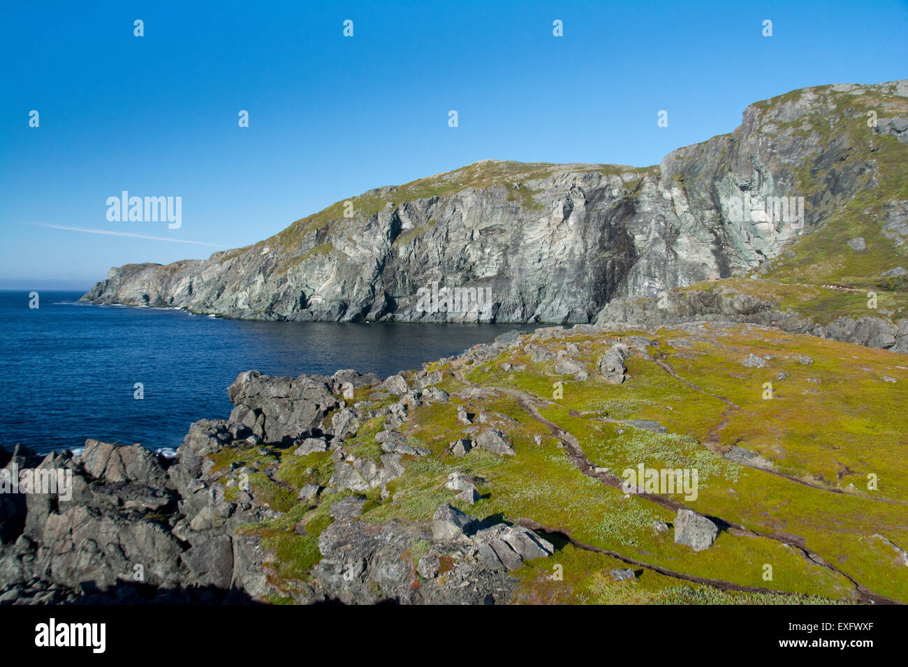 Sea cliffs near St. Anthony, Newfoundland Stock Photo - Alamy