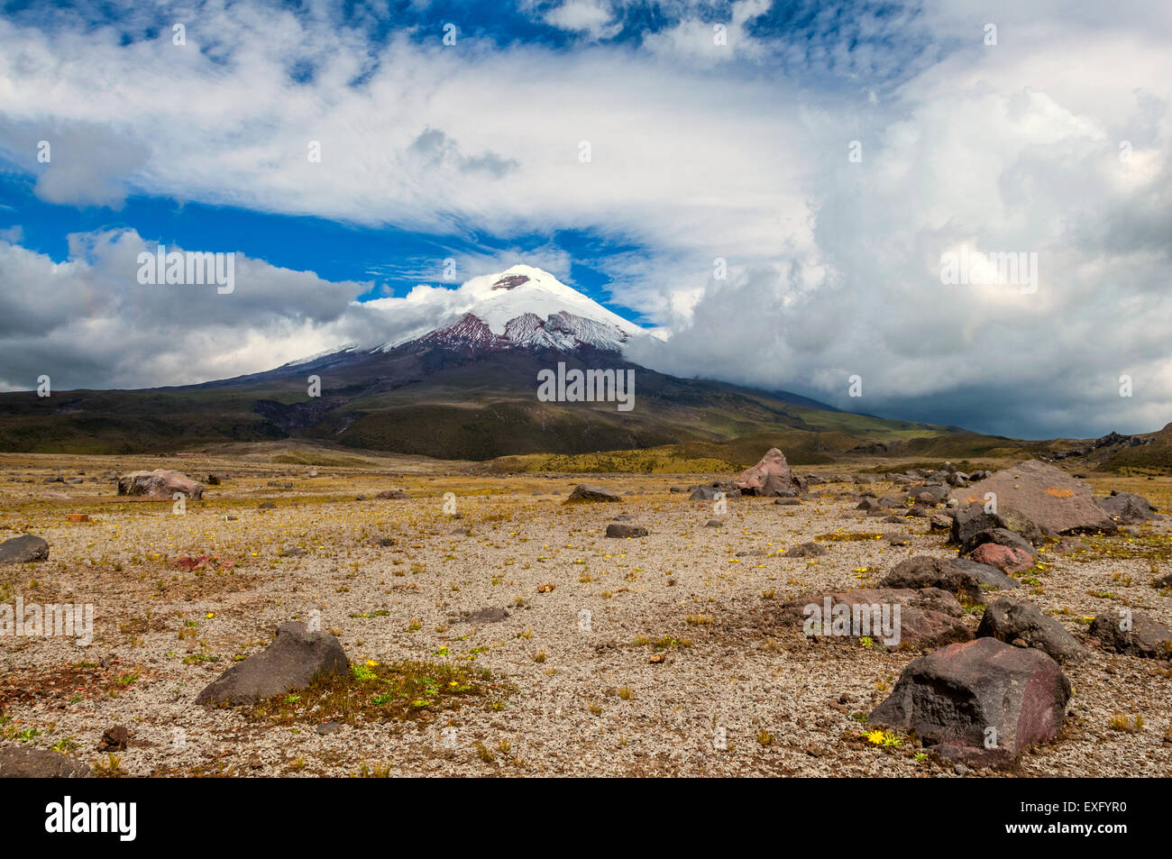 Cotopaxi volcano over the plateau, Andean Highlands of Ecuador, South America Stock Photo