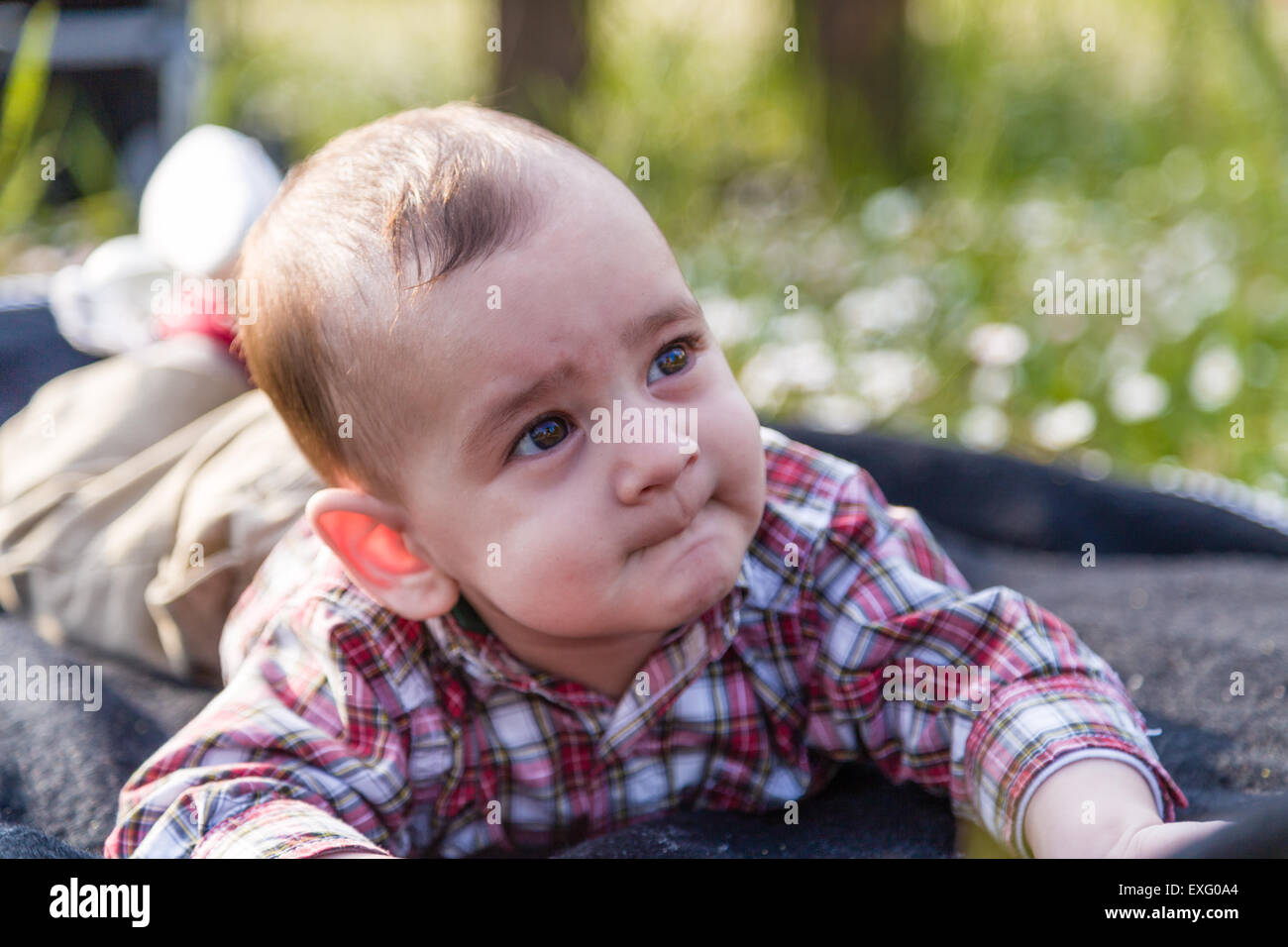 Funny face of cute 6 months old baby with Light brown hair in red checkered shirt and beige pants: he's biting his lips and puffing cheeks Stock Photo