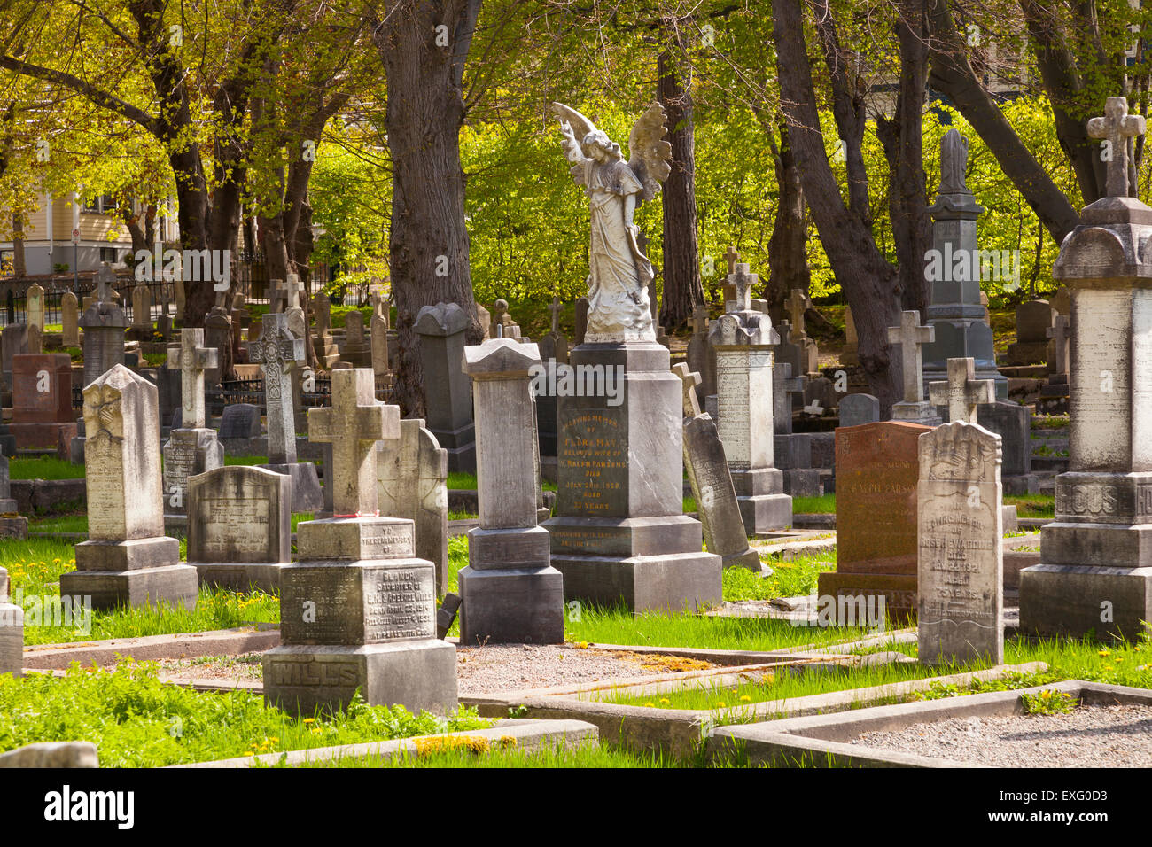 Headstones at the Forest Road Anglican Cemetery, St. John's ...