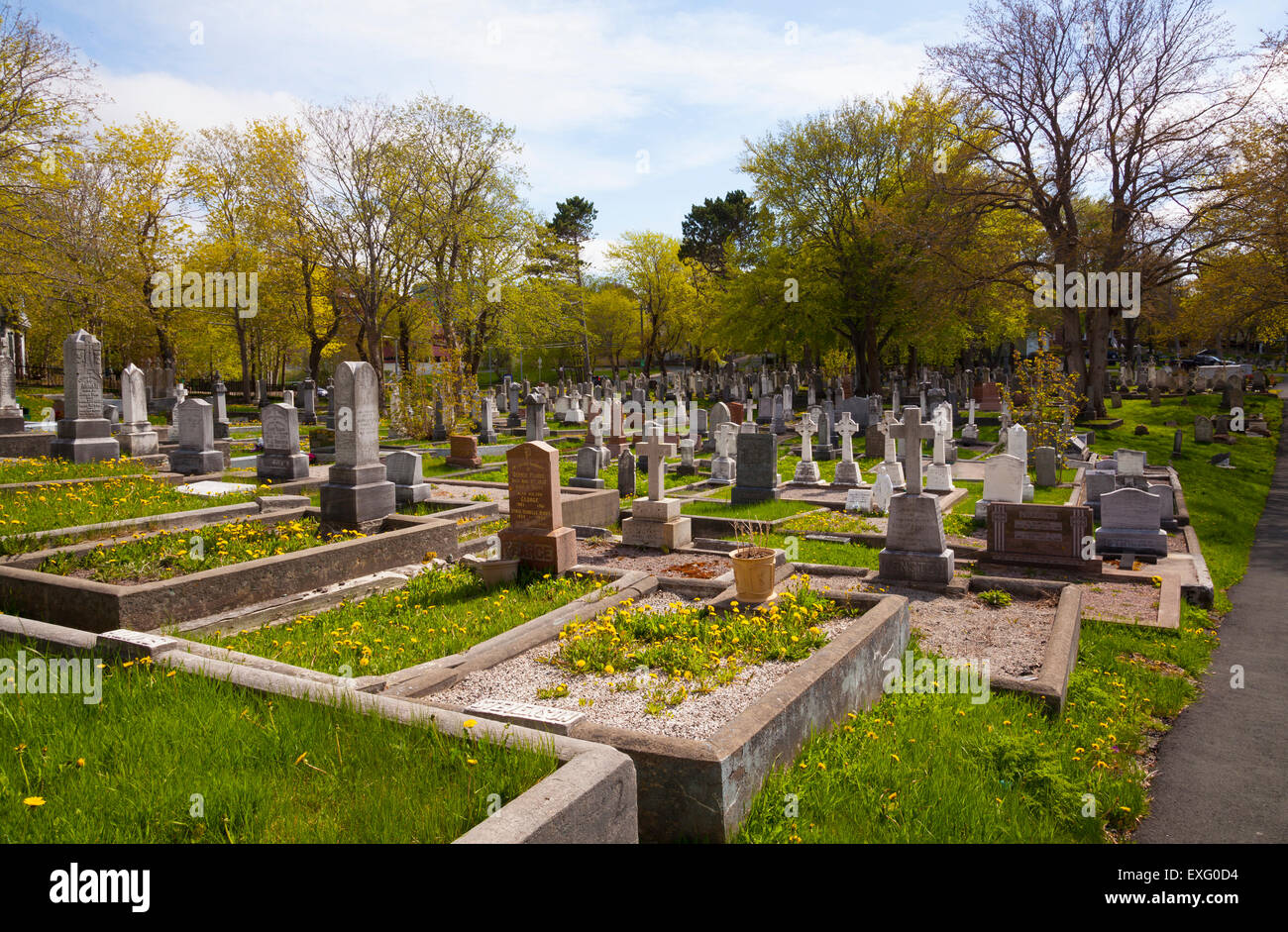 Headstones at the Forest Road Anglican Cemetery, St. John's