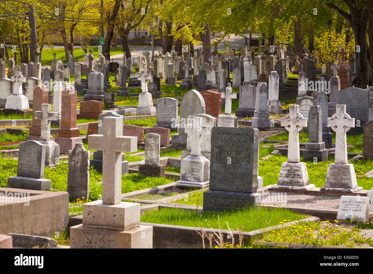 Headstones at the Forest Road Anglican Cemetery, St. John's