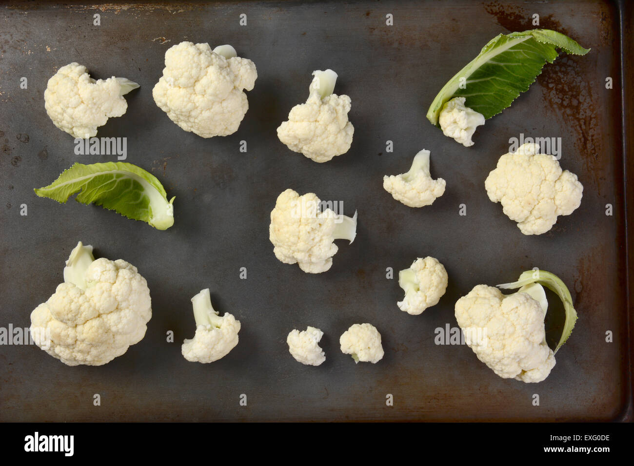 High angle view of cauliflower florets on a metal baking sheet. Horizontal format. Stock Photo