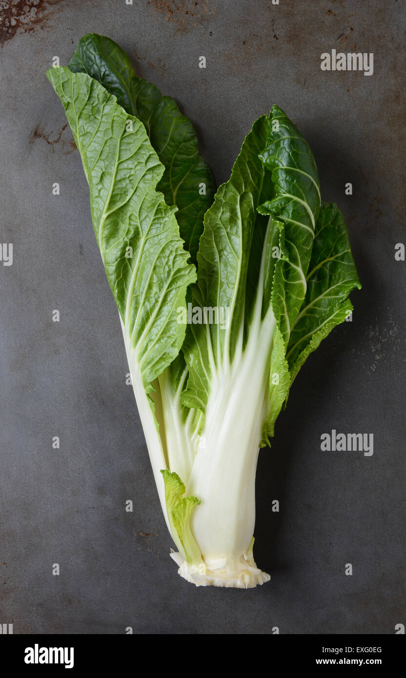 Bok choy, meaning white vegetable, on a used metal baking sheet. Vertical format. Stock Photo