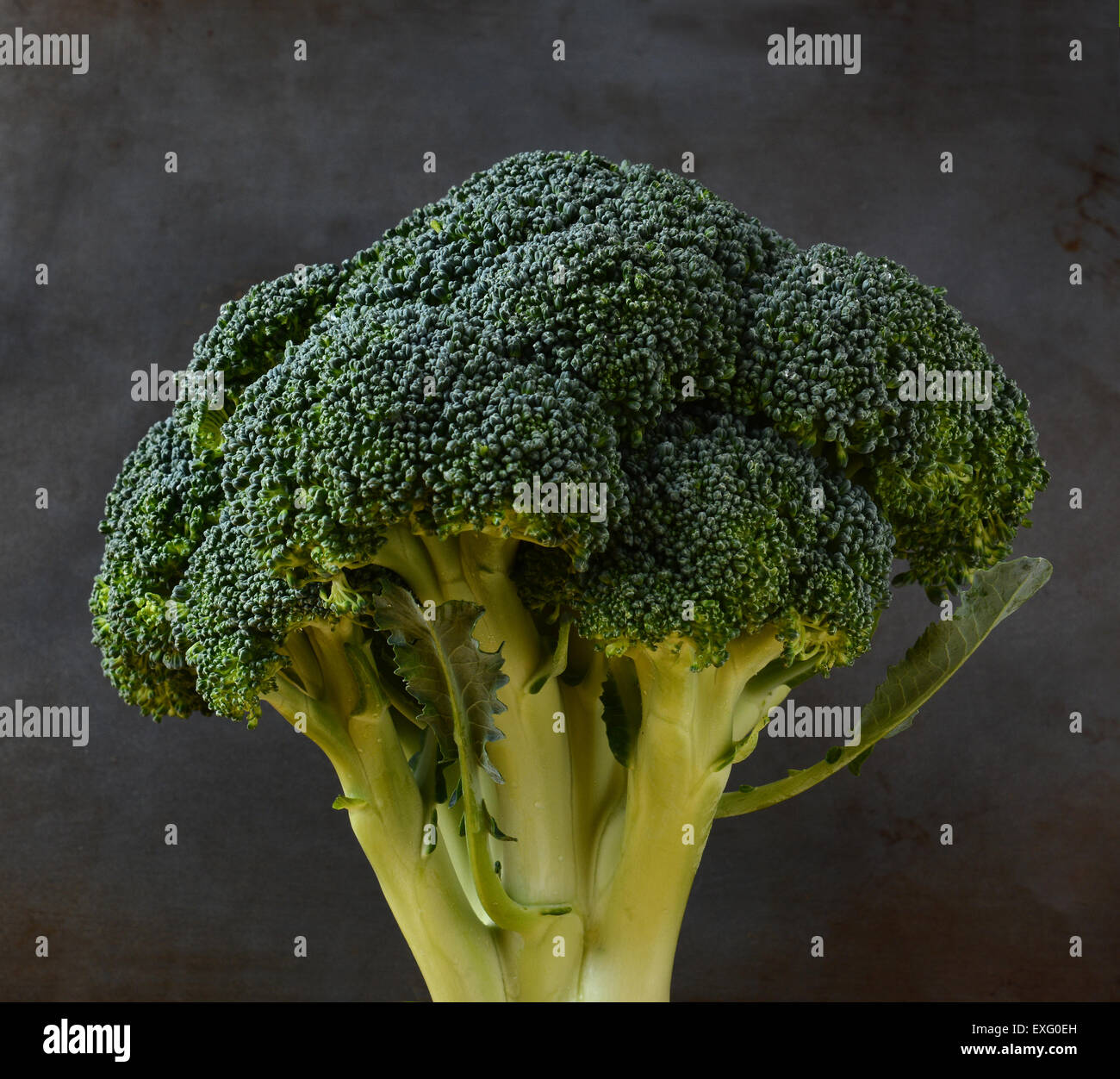 Closeup of a a head of Broccoli.The word broccoli comes from Italian