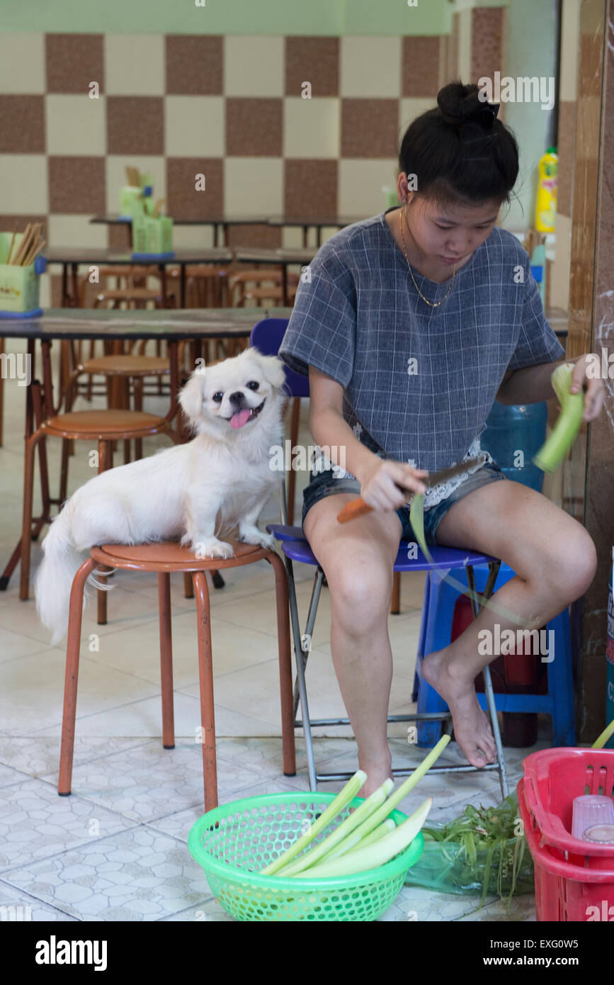 Girl and a dog in a restaurant in Hanoi, Vietnam Stock Photo Alamy