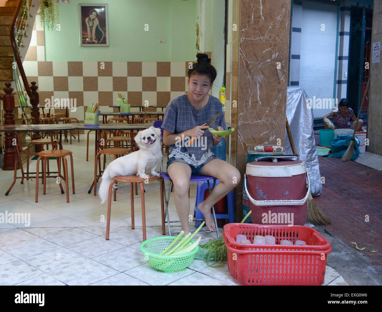 Girl and a dog in a restaurant in Hanoi, Vietnam Stock Photo Alamy