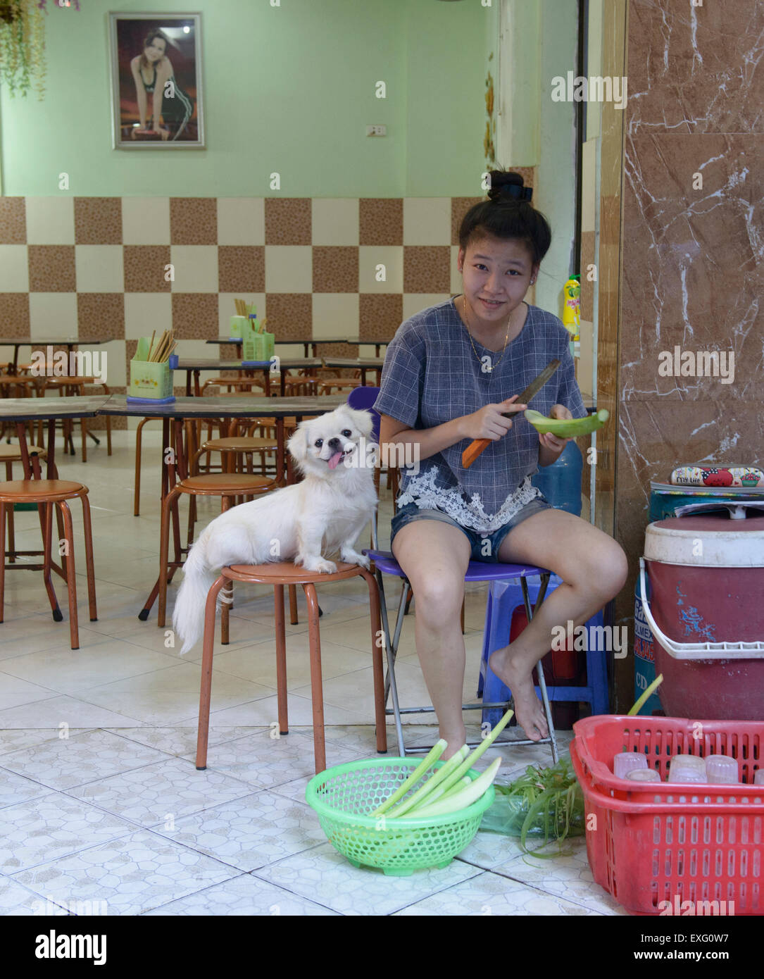 Girl and a dog in a restaurant in Hanoi, Vietnam Stock Photo Alamy