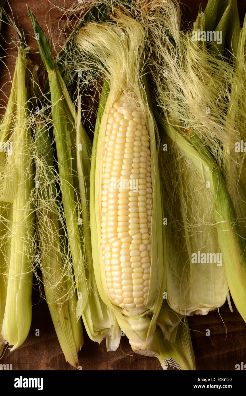 A partially shucked ear of fresh picked corn on the cob. Surrounded by silk and husk in vertical format. Stock Photo