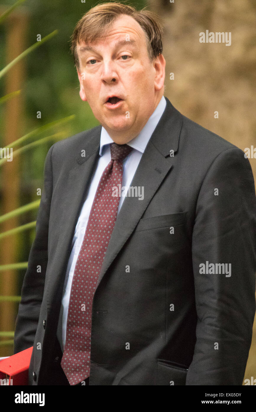 Downing Sreet, London, July14th 2015. John Whittingdale - Secretary of State for Culture, Media and Sport arrives at 10 Downing street for the government's weekly cabinet meeting. Credit:  Paul Davey/Alamy Live News Stock Photo