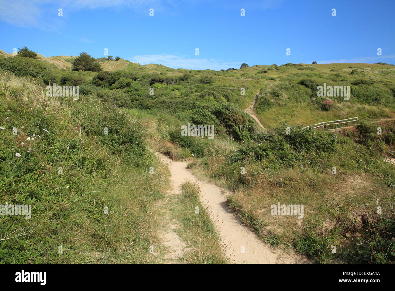 Coastal path from Rock to Polzeath, Camel estuary, North Cornwall ...