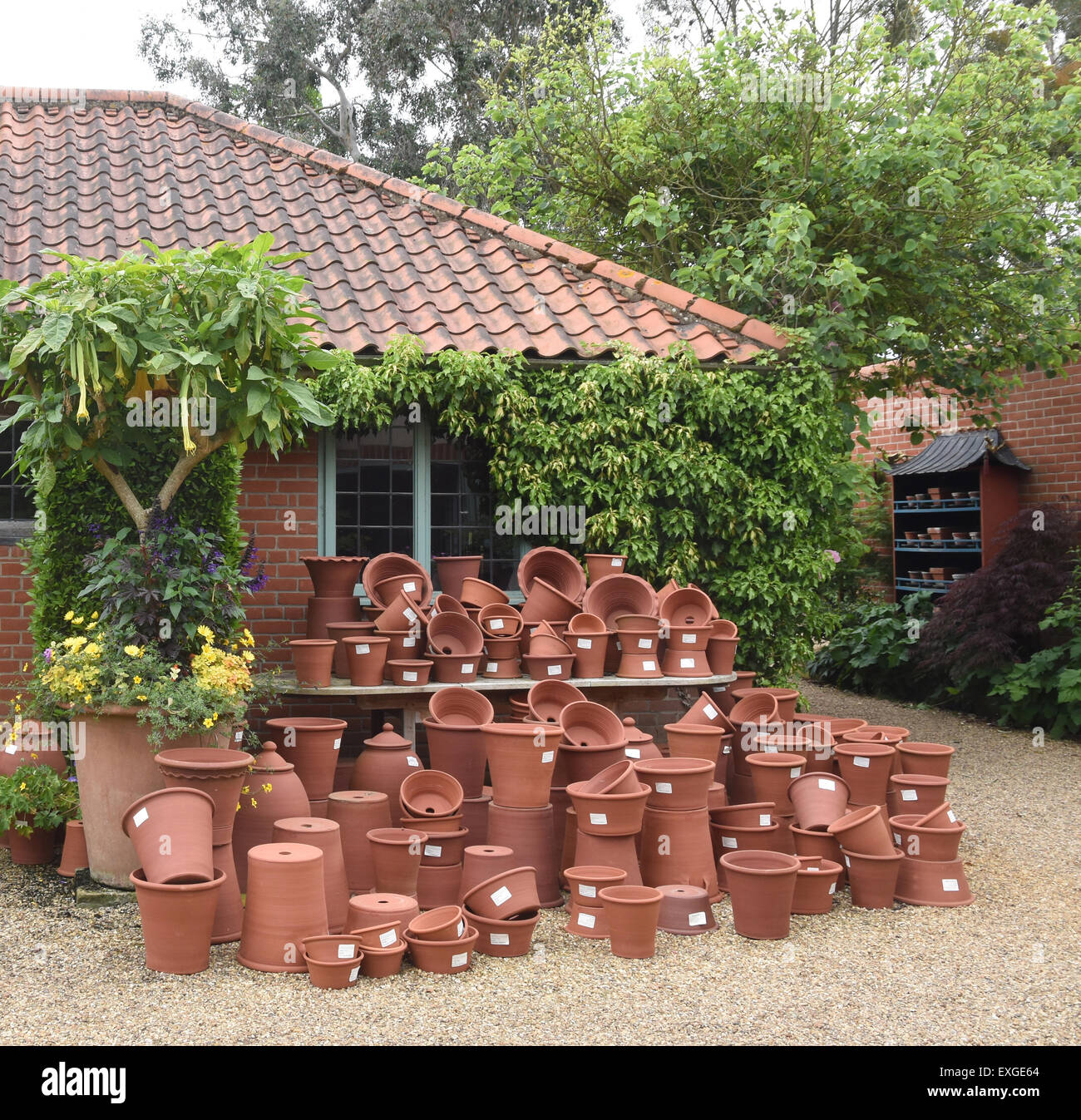 A Variety of Terracotta Pots on Display at East Ruston Old Vicarage, Norfolk. Stock Photo