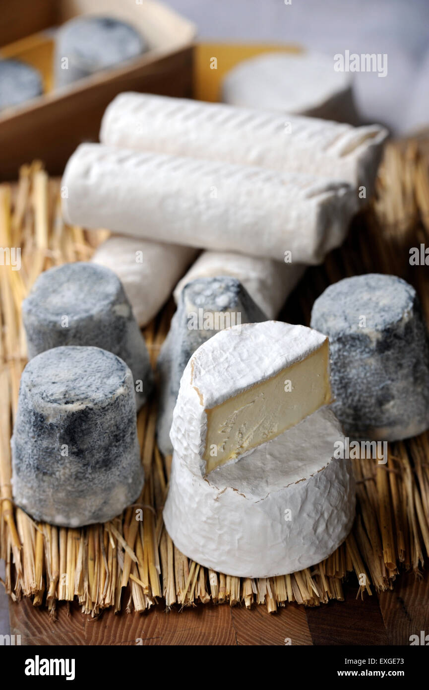 A selection of gourmet goats and cows milk cheeses UK Stock Photo Alamy