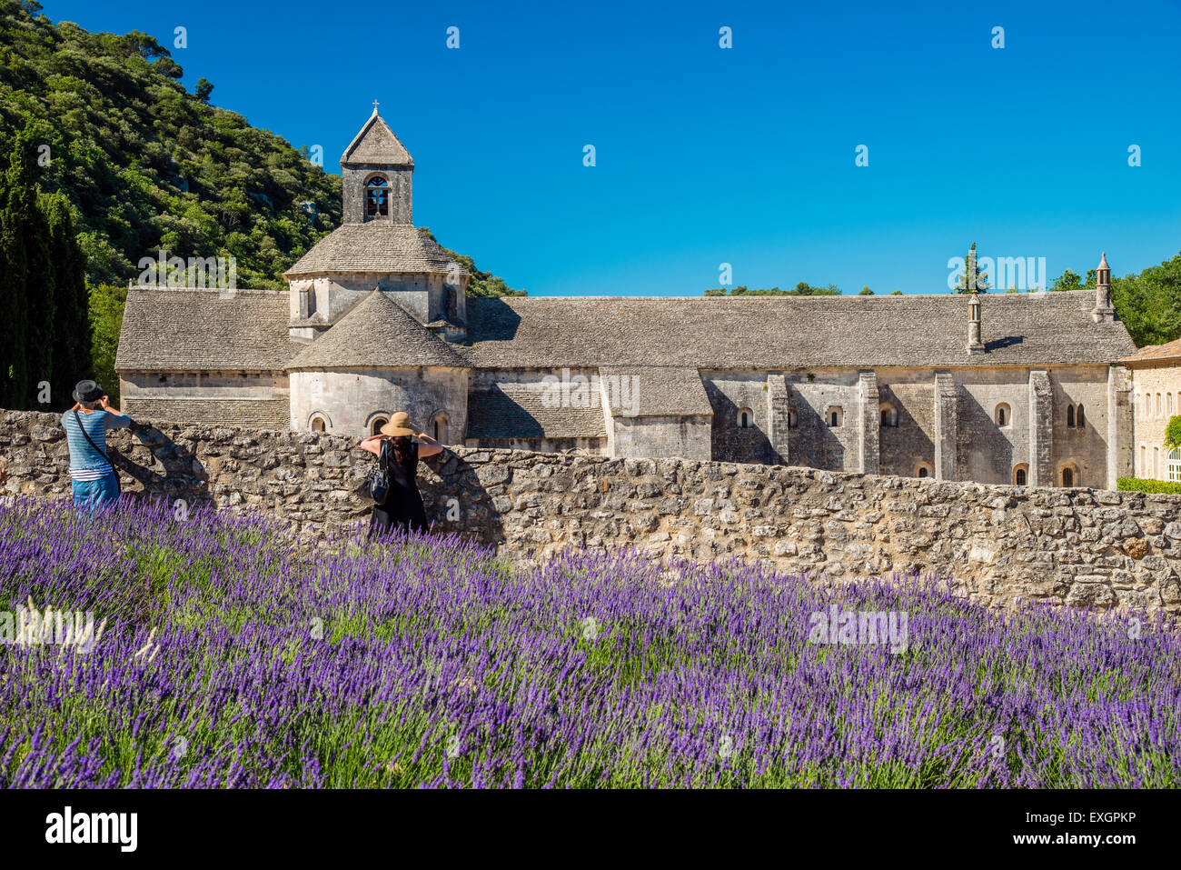 Tourists taking pictures of Senanque Abbey or Abbaye Notre-Dame de Senanque with lavender field in bloom, Gordes, Provence, Fran Stock Photo