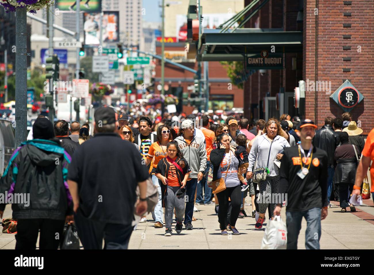 San Francisco Giants Fans Walking To The Game. Stock Photo