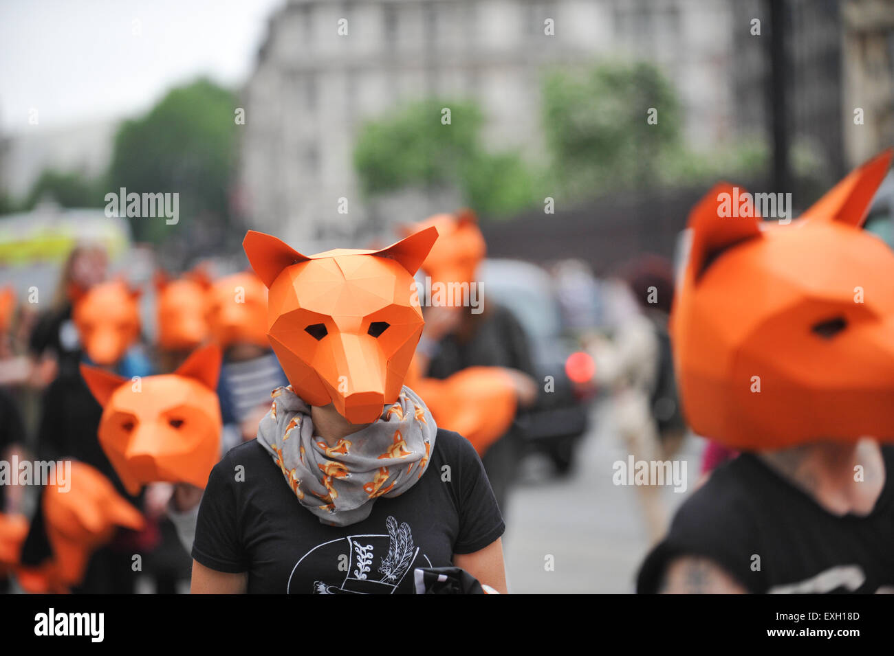 Westminster, London, UK. 14th July 2015. A Fox hunting ban