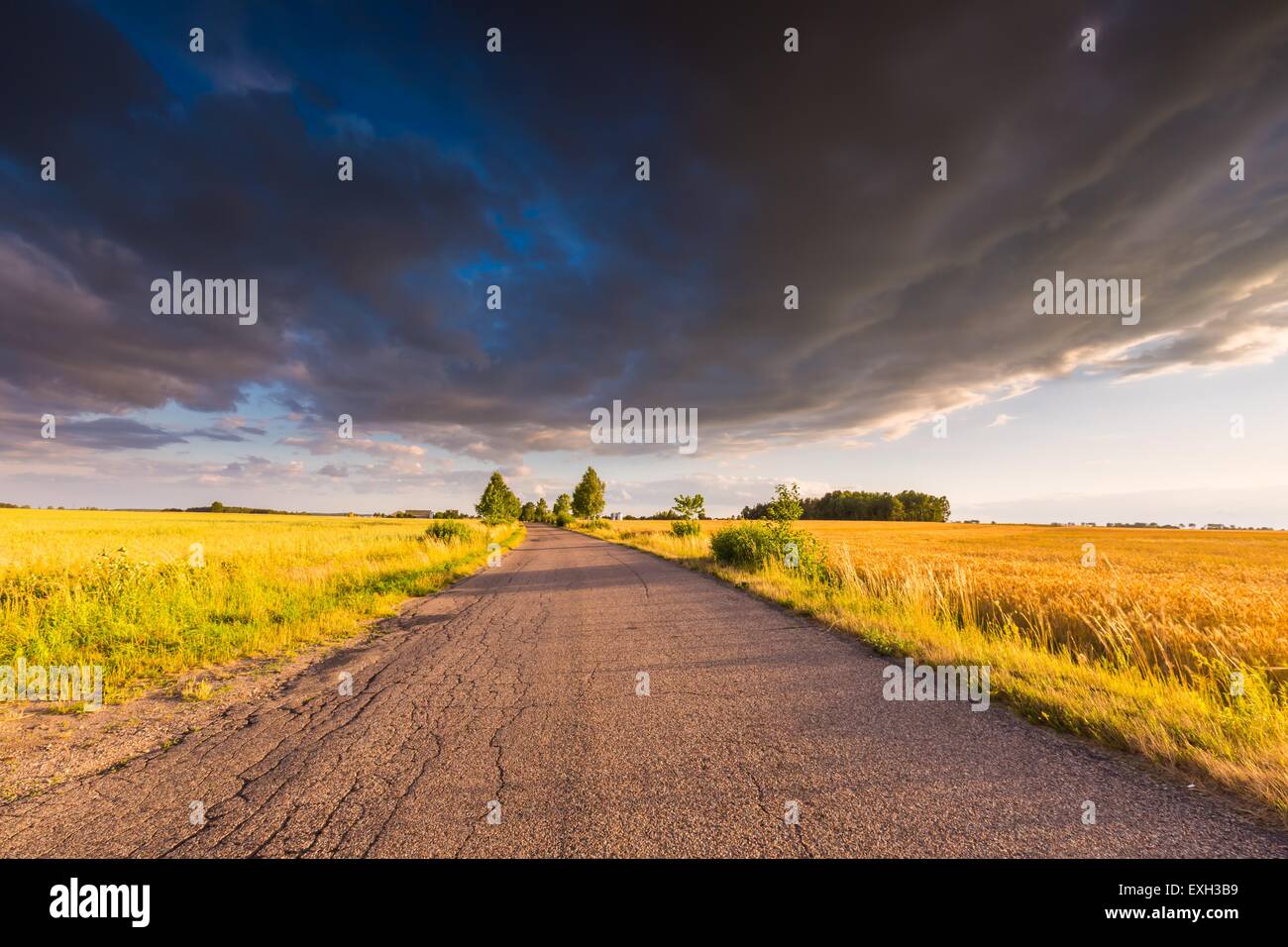 Rural summer landscape with old asphalt road and fields. Beautiful ...