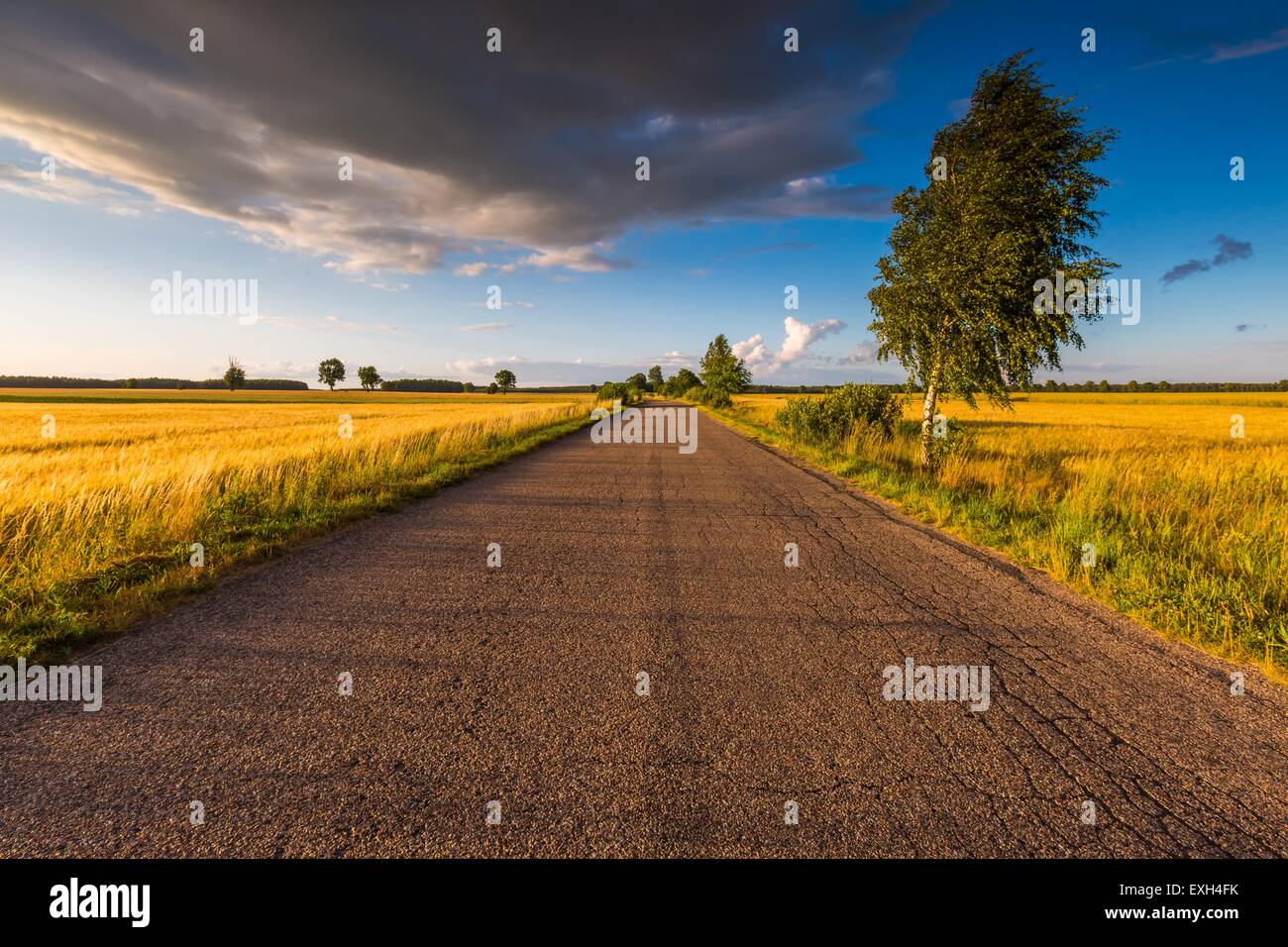 Rural summer landscape with old asphalt road and fields. Beautiful ...