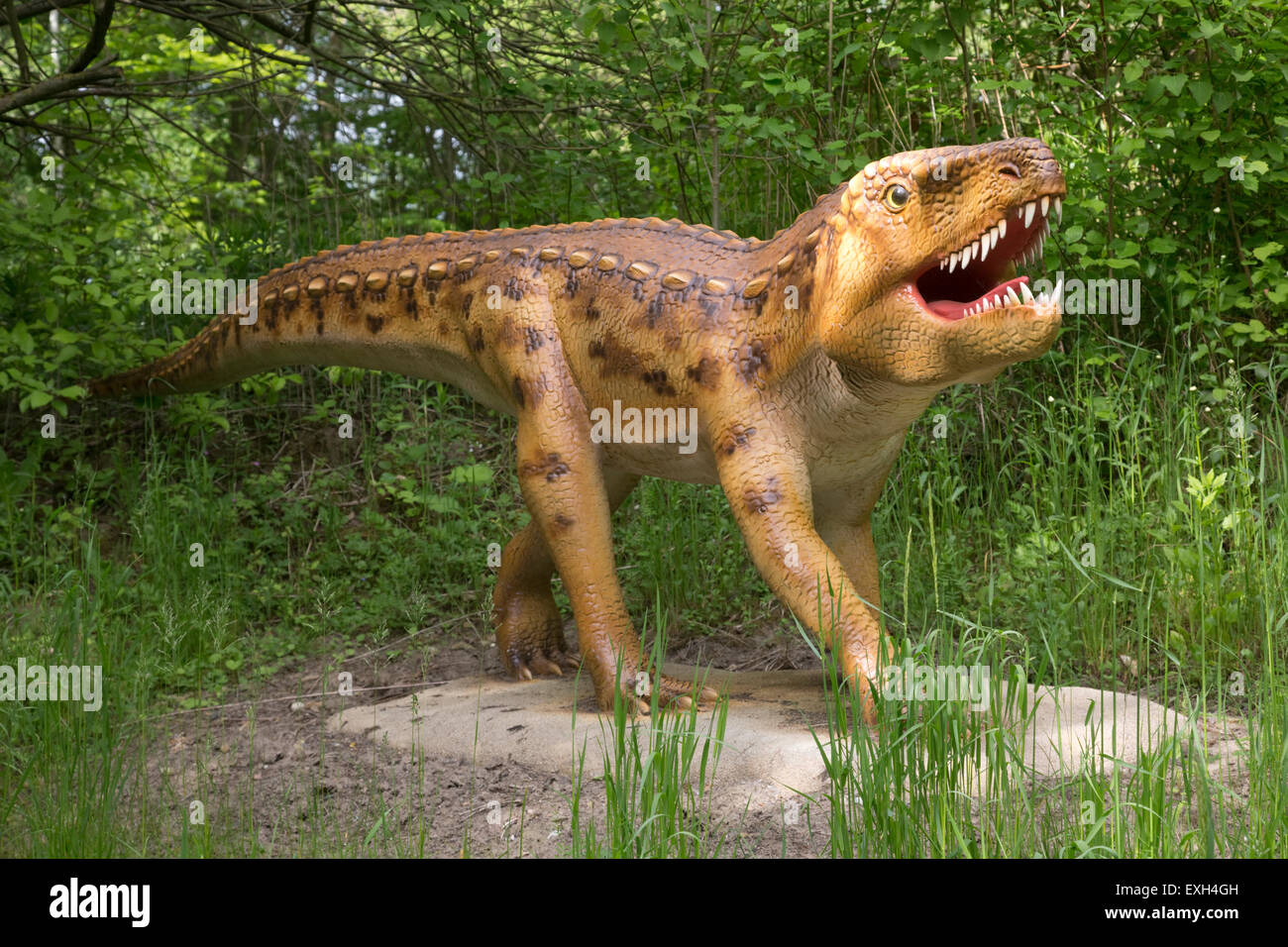 Ornithosuchus extinct Archsaur or bird crocodile Dinosaurier Park Triassic period Germany Stock Photo