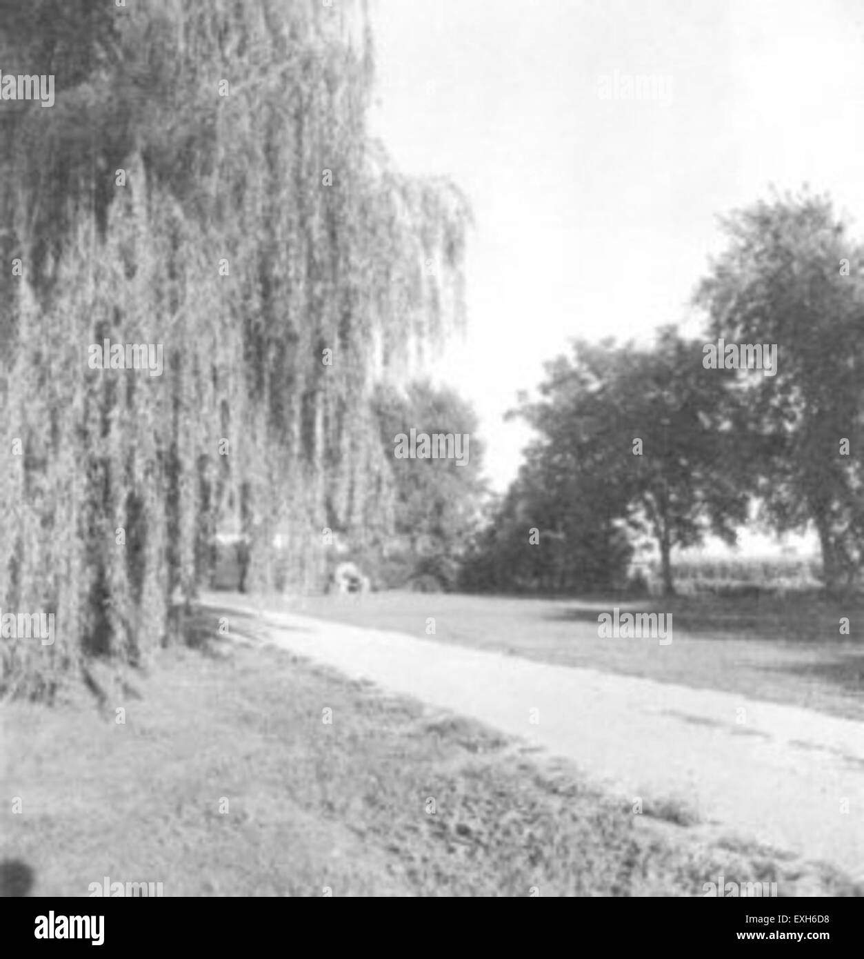 Bute Farm In Alpha, Minnesota Stock Photo Alamy