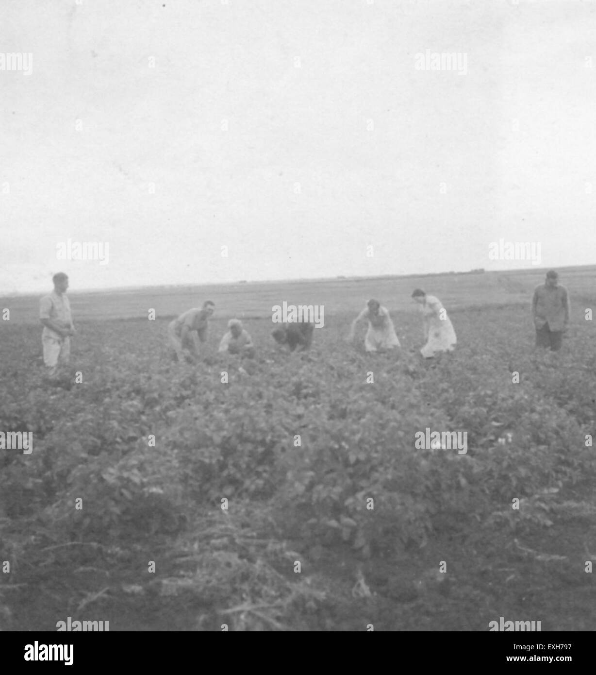 Carstairs Alberta Stock Photo Alamy