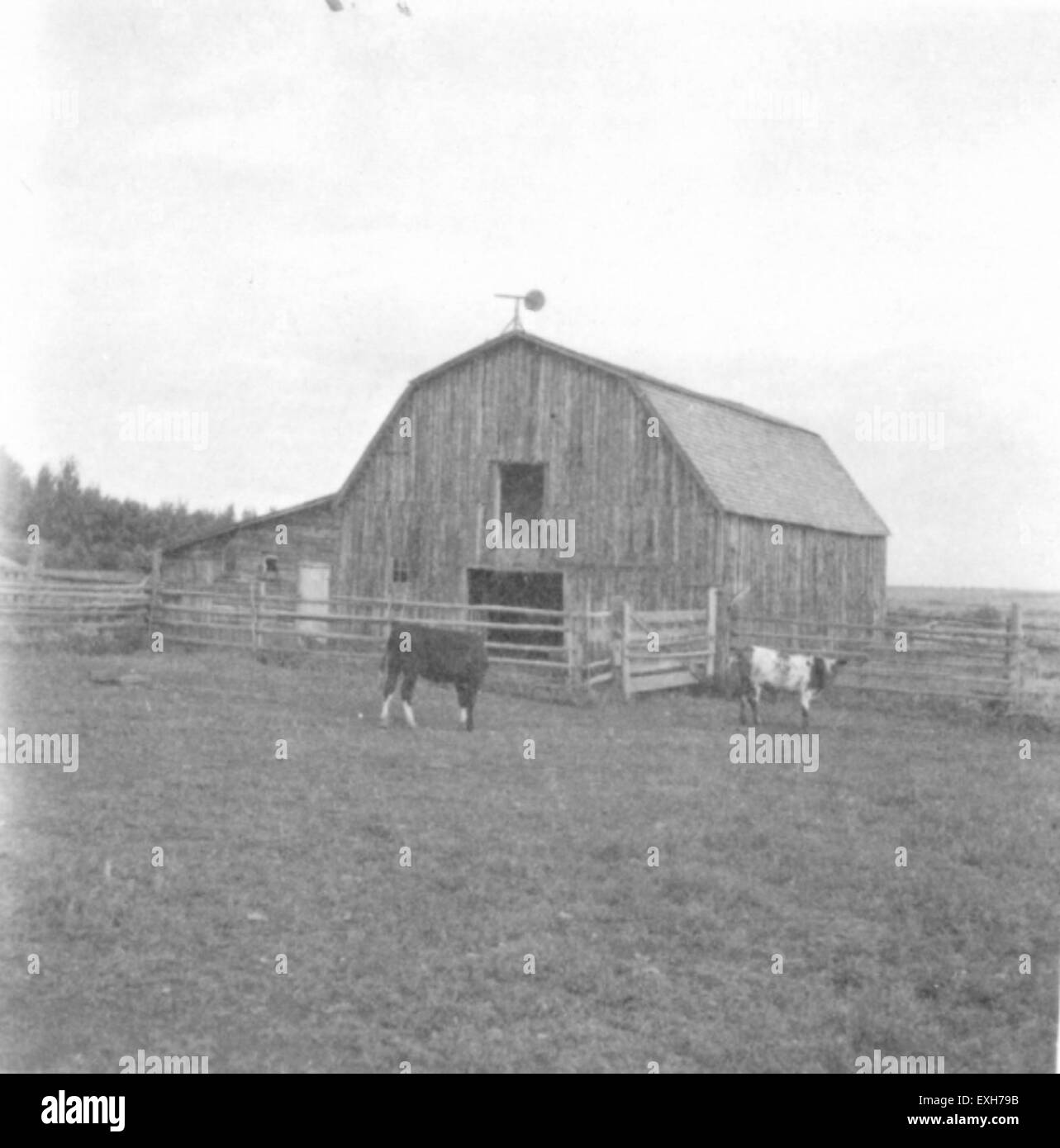 Carstairs Alberta Stock Photo Alamy