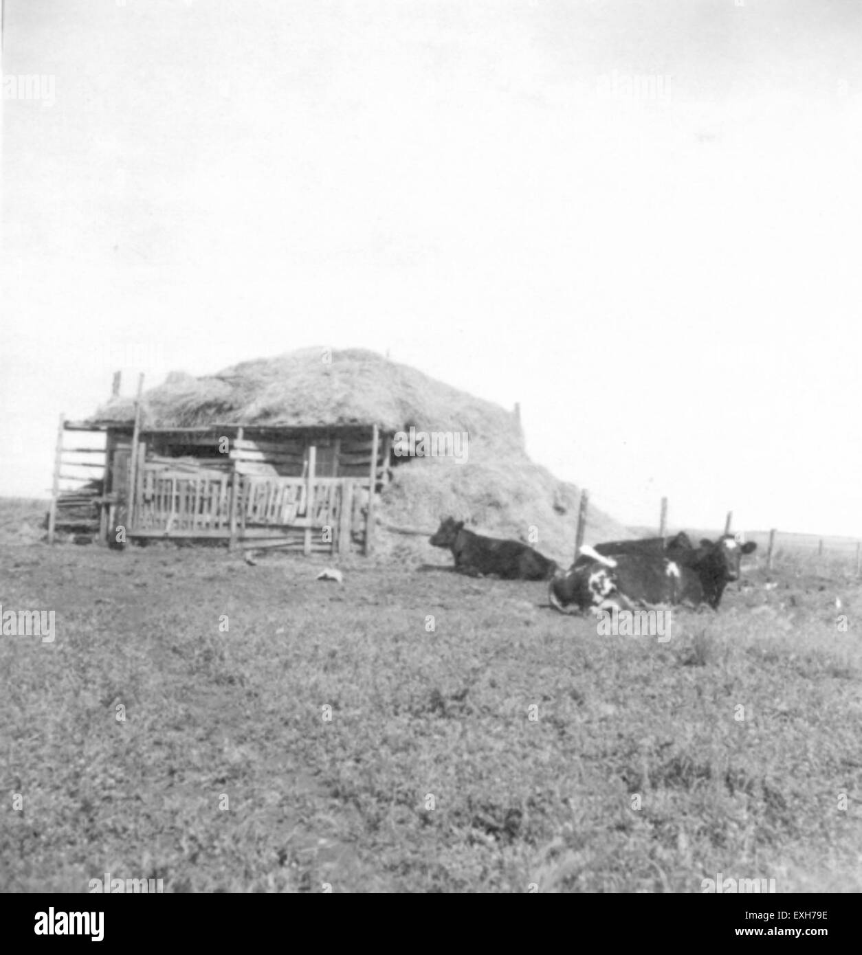 Carstairs alberta hires stock photography and images Alamy