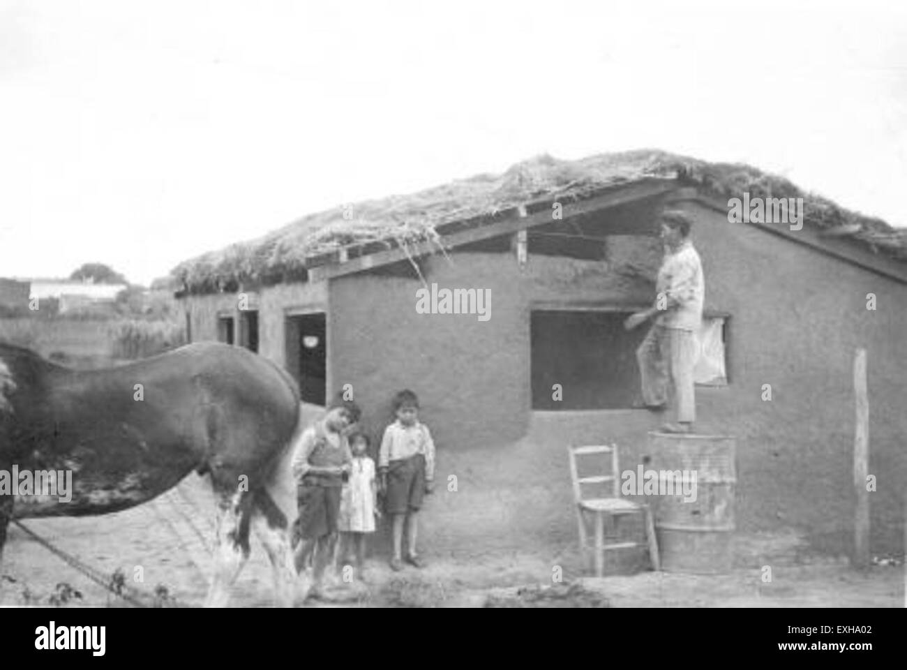 Construction of a mud house in Argentina, highlighting traditional building methods. This practice reflects local cultural values and sustainable living, particularly in rural areas of Argentina. Stock Photo