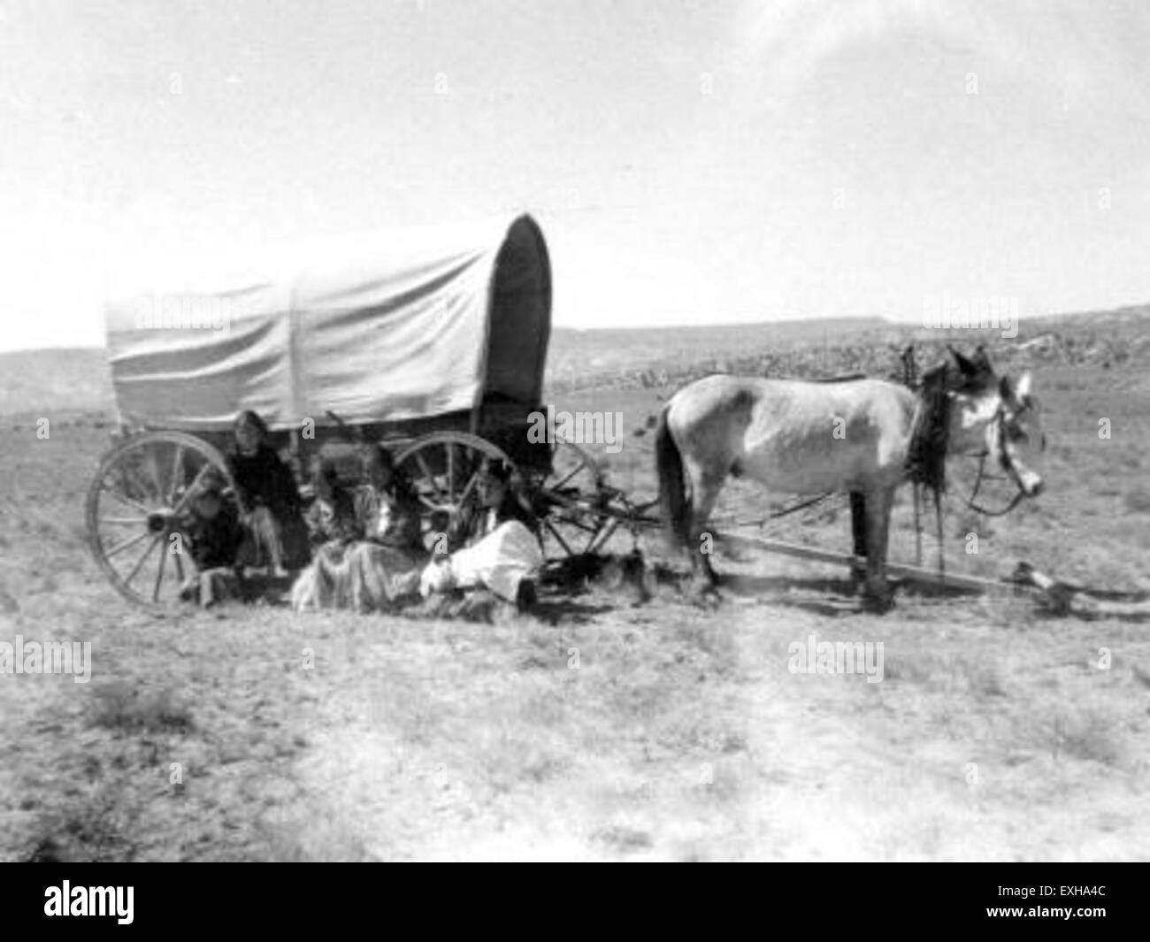 Covered wagon in Chinle Arizona Stock Photo Alamy