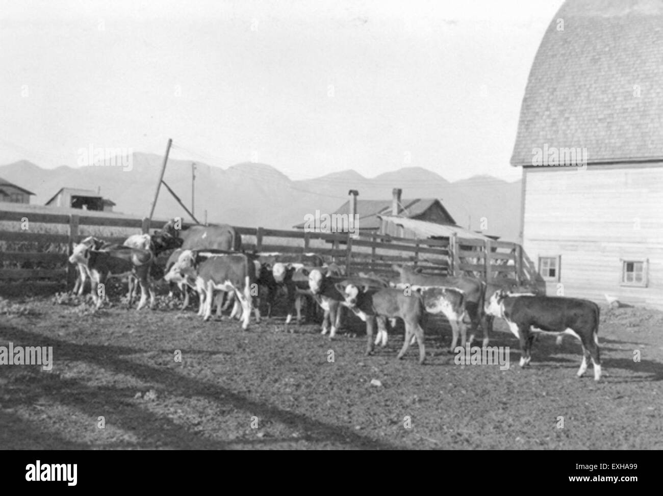 Creston montana hires stock photography and images Alamy