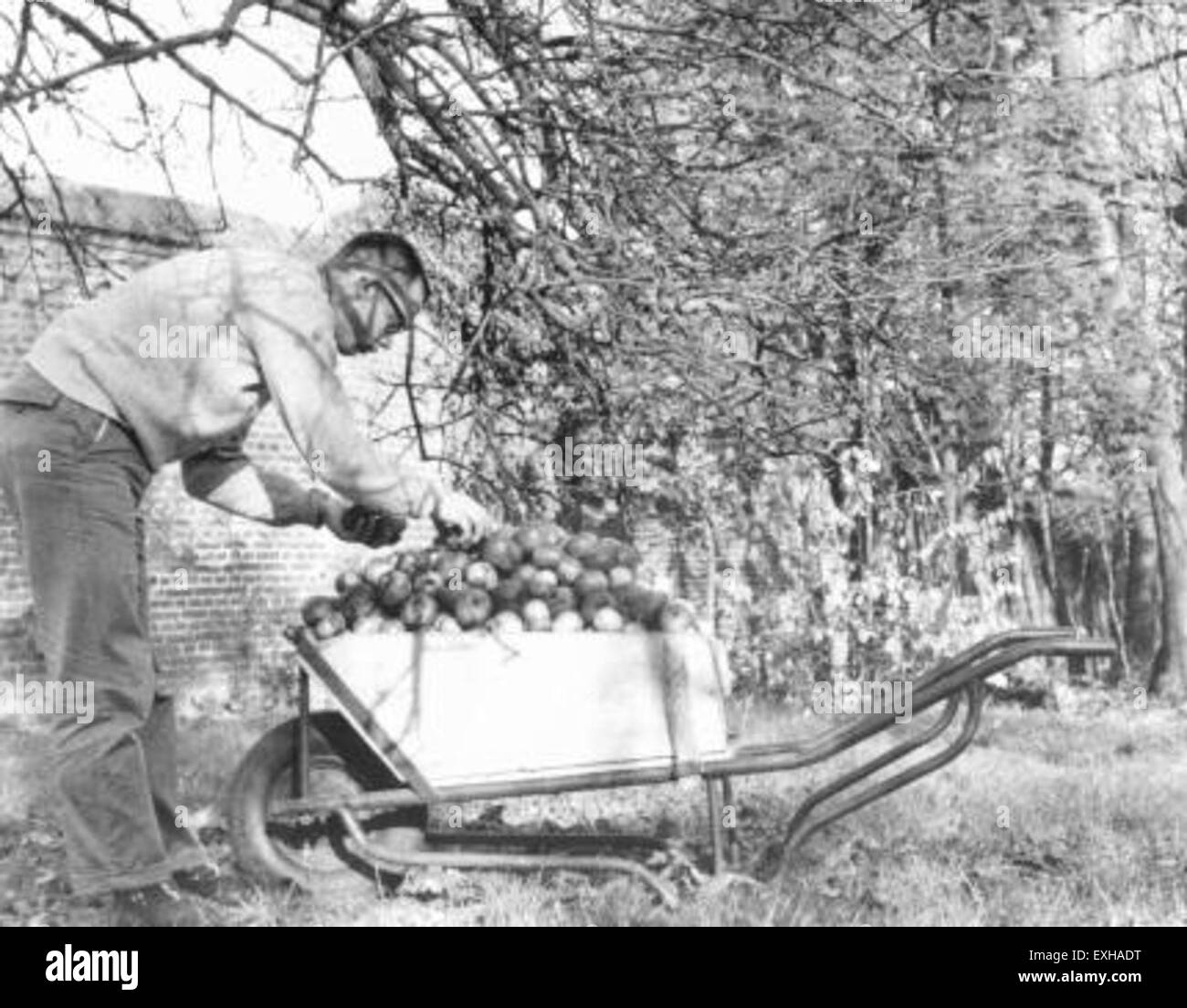 David rhodes hi-res stock photography and images - Alamy