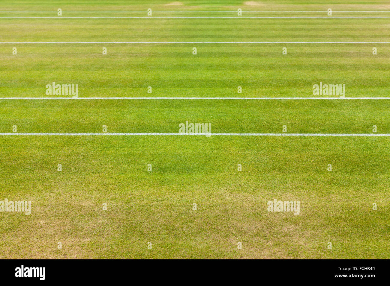 Court markings hires stock photography and images Alamy