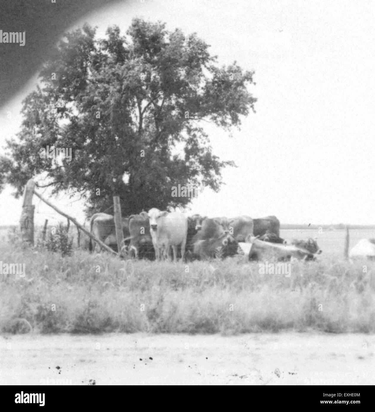 Harry hutchinson hires stock photography and images Alamy