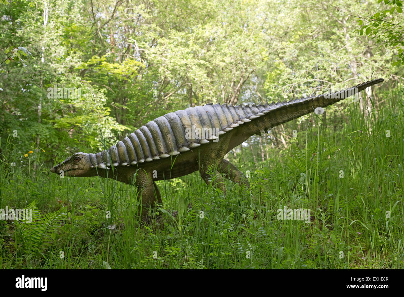 Typothorax extinct herbivorous aetosaur from late Triassic Dinosaurier Park Germany Stock Photo