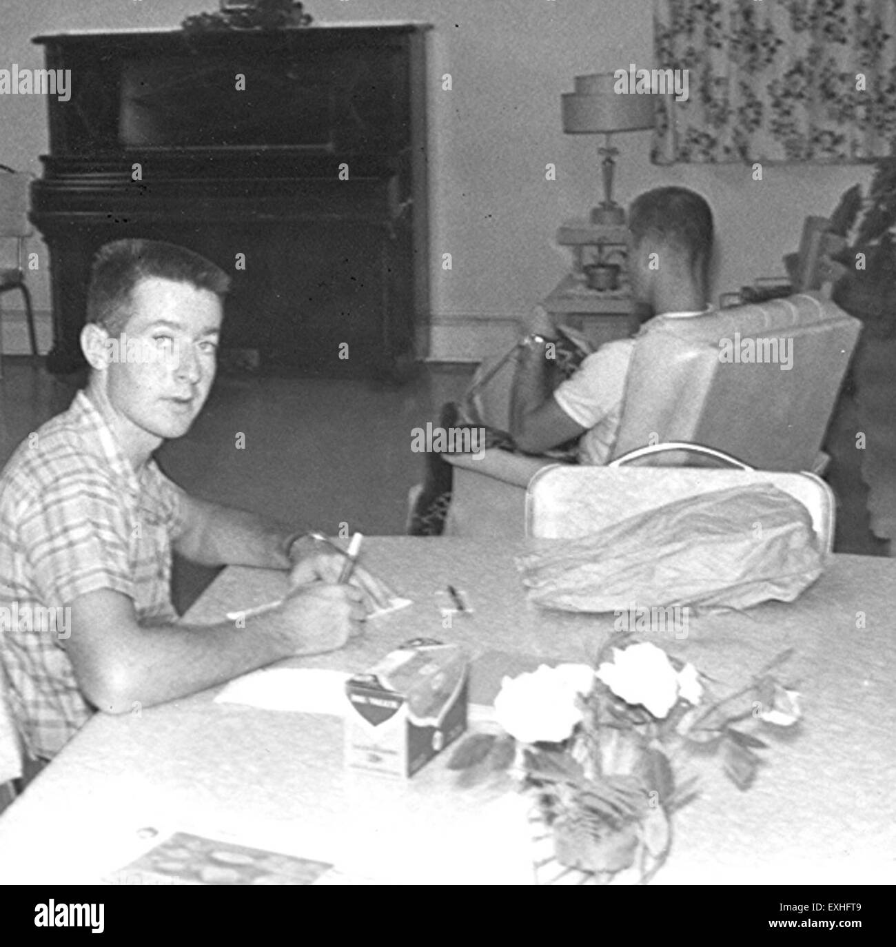 Jay photograph hi-res stock photography and images - Alamy