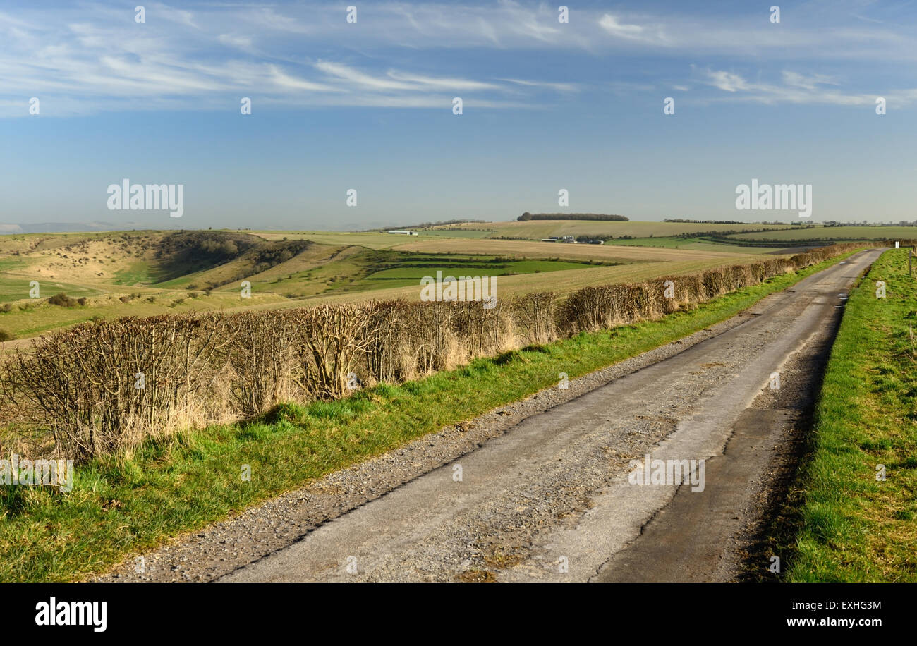 Imber Range Path on Salisbury Plain, looking towards Reeves Farm and Edington Hill. Stock Photo