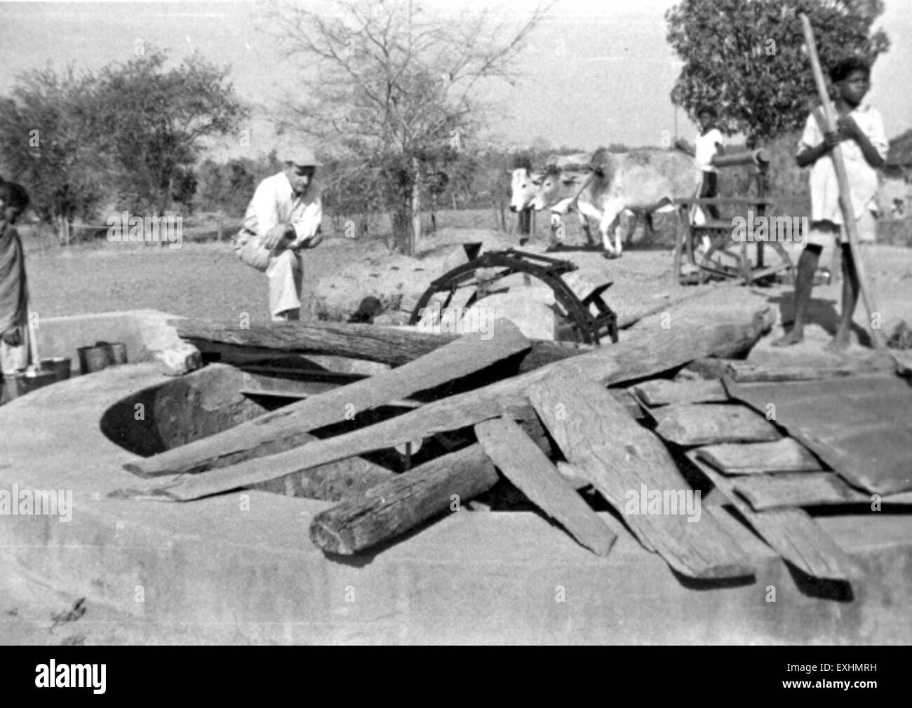 Persian water wheel, Latehar, India, 1956 1 Stock Photo