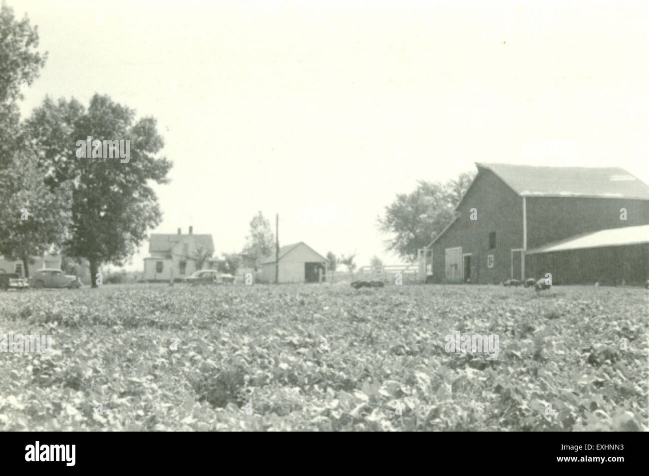 Rockwell city hires stock photography and images Alamy