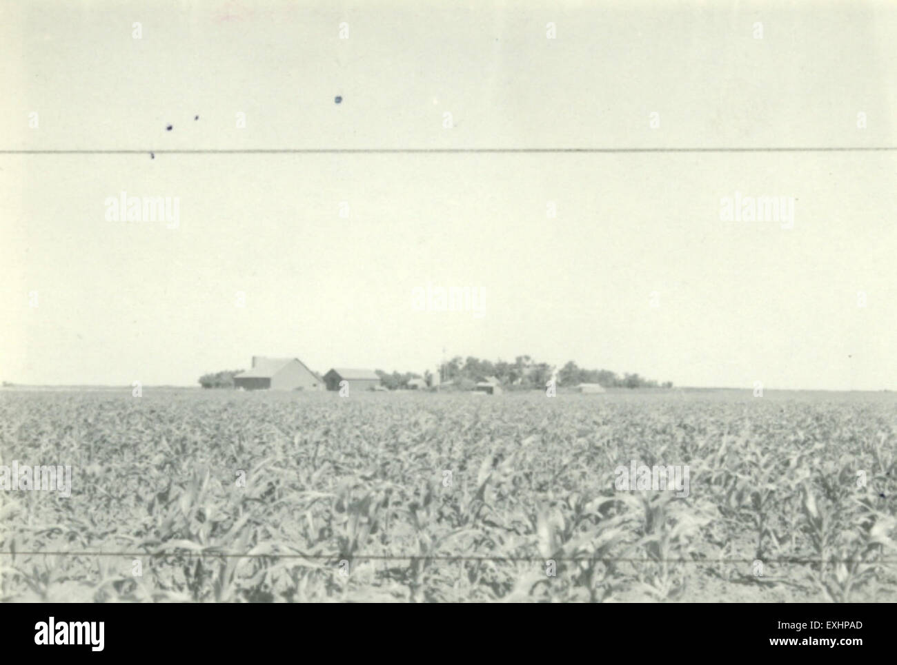 Shickley, Nebraska is a small rural town in the United States, known ...