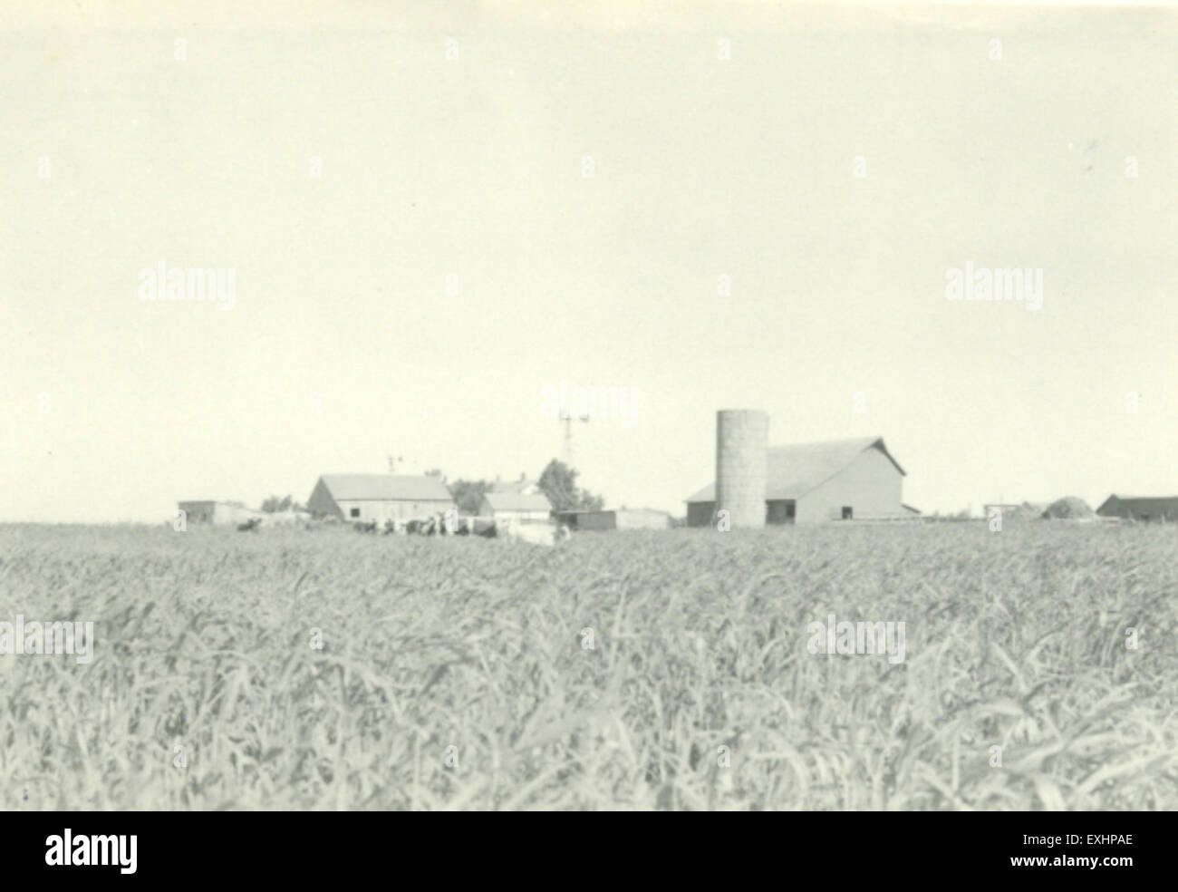 Shickley, a small town in Nebraska, is known for its rural charm and ...
