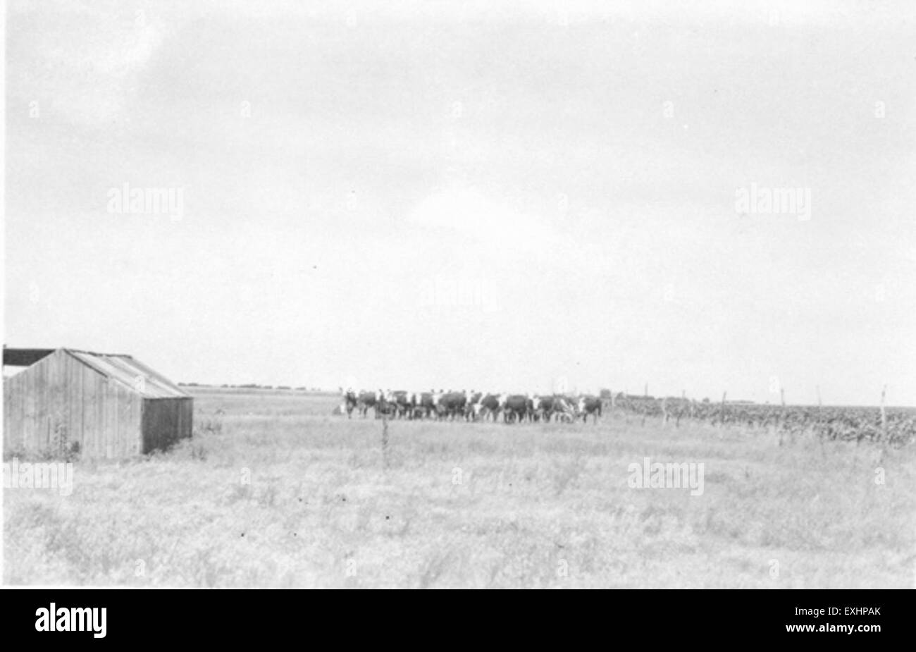 Rural nebraska home hi-res stock photography and images - Alamy
