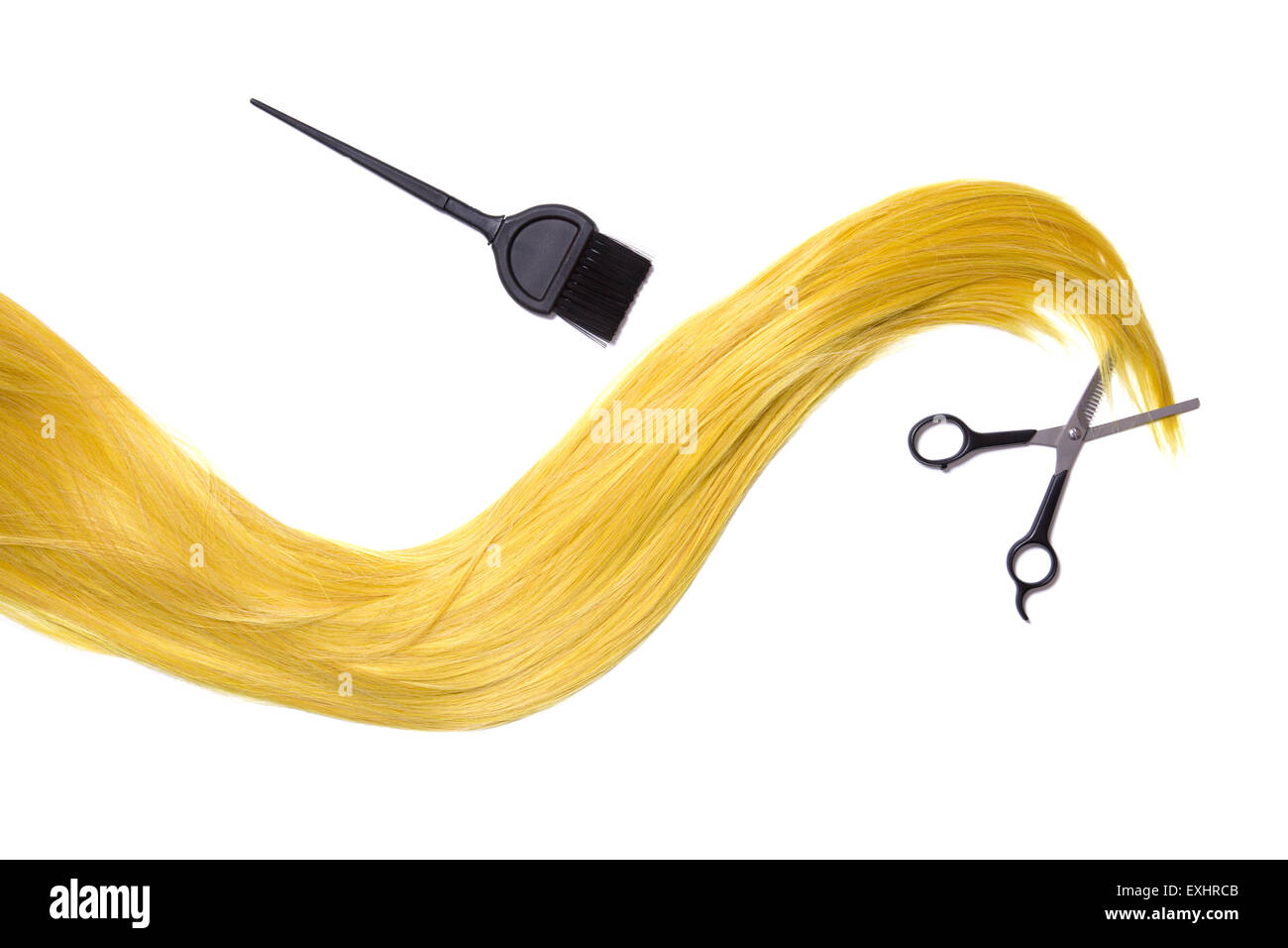 Long golden blonde hair with professional scissors and hair dye brush, isolated on white background Stock Photo