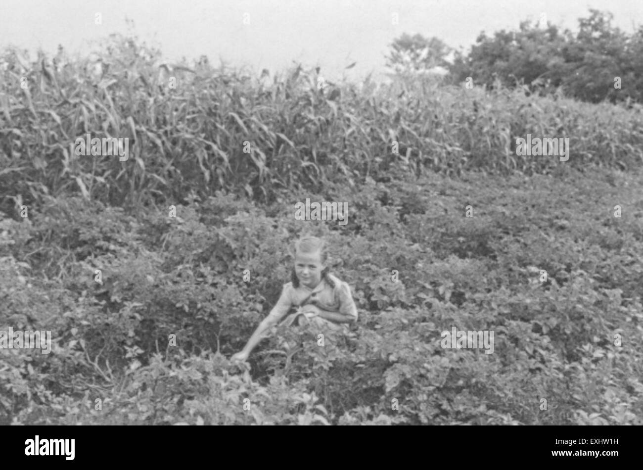 Wolford north dakota hires stock photography and images Alamy