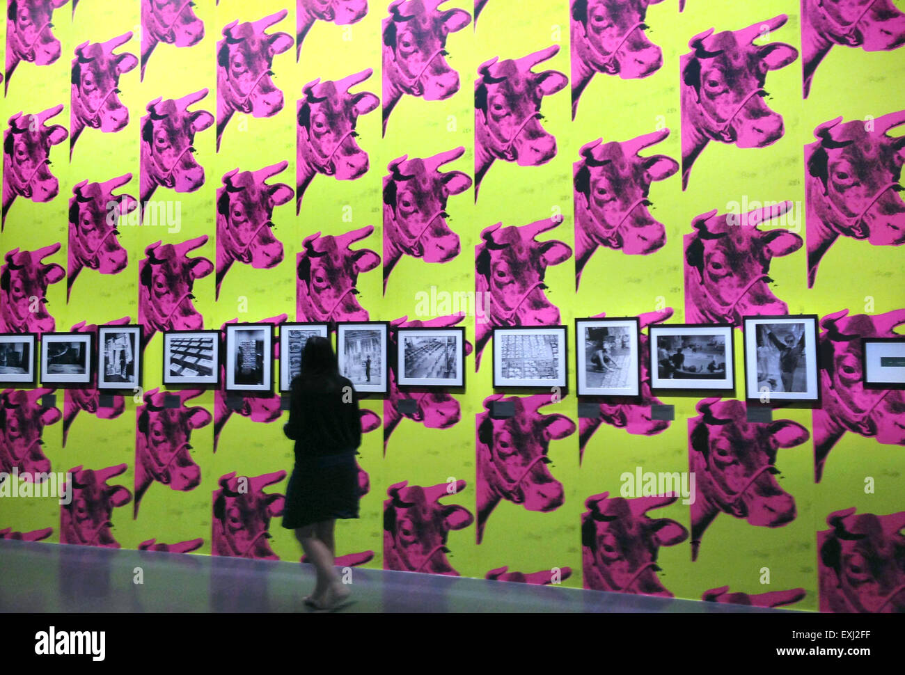 Metz France 30th June 15 A Visitor Walks Past The Wallpaper Fragment Cow Wallpaper In The Exhibition Andy Warhol Underground At Centre Pompidou In Metz France 30 June 15 Photo Sabine Glaubitz Dpa Alamy Metz France 30th June 15 A Visitor Walks Past The Wallpaper Fragment Cow Wallpaper In The Exhibition Andy Warhol Underground At Centre Pompidou In Metz France 30 June 15 Photo Sabine Glaubitz Dpa Alamy