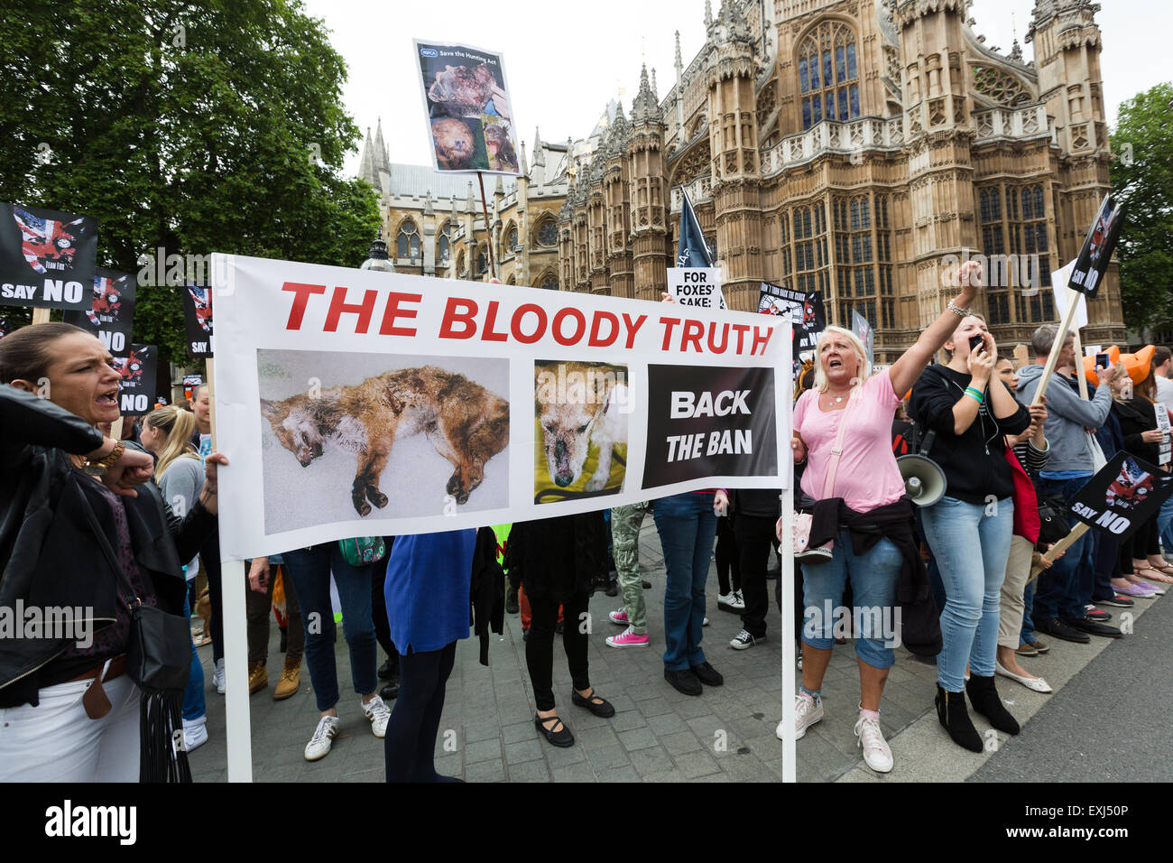 London, UK. 14th July 2015. Demonstrators take part in a rally to protest against proposed changes to the Hunting Act, outside the Houses of Parliament in London. On Wednesday, MPÕs will take a free vote on an amendment to the Hunting Act, removing the limit on the number of dogs allowed to flush out foxes and wild animals. Protesters claim that if passed, the amendment would effectively make make fox hunting legal again. Credit:  London pix/Alamy Live News Stock Photo