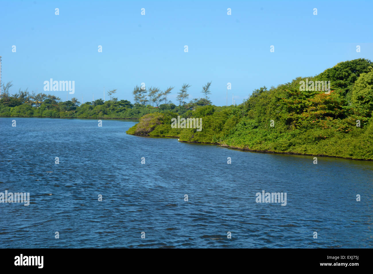 Amazon jungle hi-res stock photography and images - Alamy